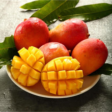 Load image into Gallery viewer, Puspita Nursery Sindhu Mango Tree (Sindhu, Grafted, Seedless Mango) - Plant