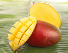 Load image into Gallery viewer, Puspita Nursery Sindhu Mango Tree (Sindhu, Grafted, Seedless Mango) - Plant