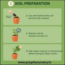 Load image into Gallery viewer, Puspita Nursery Antirrhinum Mixed Flower Seeds – Vibrant Snapdragon Blooms | Easy to Grow Annuals | Ideal for Pots, Borders & Gardens | Long-Lasting Winter Flowers