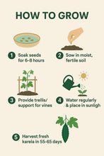 Load image into Gallery viewer, Premium Bitter Gourd Seeds 50gm Pack– High Germination Organic Vegetable Seeds