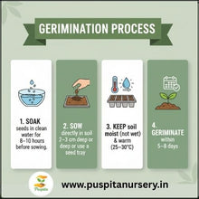 Load image into Gallery viewer, Puspita Nursery Black Kumra (Black Pumpkin) Seeds – 50 gm | High Yield, Fast Germination | Suitable for Home Garden & Farm | Organic Vegetable Seeds | Disease Resistant, All Season Growing Variety