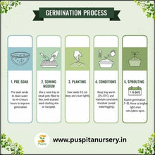 Load image into Gallery viewer, Puspita Nursery Red Capsicum Seeds – 10 gm | High-Yield Hybrid Bell Pepper | Bright Red Sweet Capsicum for Home & Terrace Garden | Fast Germination & Disease Resistant