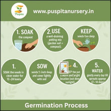 Load image into Gallery viewer, Puspita Nursery Aprajita Double Seed – Beautiful Blue Clitoria Ternatea Vine | Fast Growing Flowering Creeper | Ideal for Home Garden, Terrace & Balcony | Easy to Grow Seeds