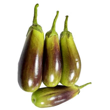 Load image into Gallery viewer, Puspita Nursery Bhangar Begun (Eggplant) Seeds – 10 gm | High-Yield Hybrid Brinjal Variety | Easy Germination Vegetable Seeds for Home Garden & Farm | All Season Planting | Fast Growth & Disease Resistant