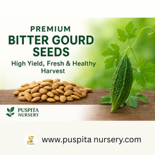 Load image into Gallery viewer, Premium Bitter Gourd Seeds 50gm Pack– High Germination Organic Vegetable Seeds