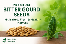 Load image into Gallery viewer, Premium Bitter Gourd Seeds 50gm Pack– High Germination Organic Vegetable Seeds