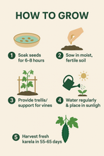 Load image into Gallery viewer, Premium Bitter Gourd Seeds 50gm Pack– High Germination Organic Vegetable Seeds