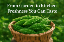 Load image into Gallery viewer, Premium Bitter Gourd Seeds 50gm Pack– High Germination Organic Vegetable Seeds