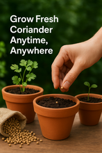 Load image into Gallery viewer, Puspita Nursery Coriander Seeds 100 gm Pack | High Germination Dhaniya Seeds | Fast Growing Leaf & Seed Variety for Home & Kitchen Garden