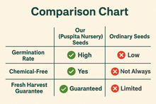 Load image into Gallery viewer, Premium Bitter Gourd Seeds 50gm Pack– High Germination Organic Vegetable Seeds