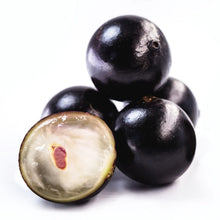 Load image into Gallery viewer, Puspita Nursery Original Brazilian grape Jaboticaba Escarlate Plant Rare & Unique Grafted Fruit Plant