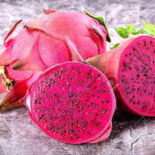 Load image into Gallery viewer, Puspita Nursery Dragon Fruit Plant – Exotic, Fast-Growing