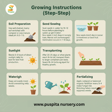 Load image into Gallery viewer, Kanta Begun Seeds for Planting β Thorny Brinjal, Indian Eggplant Variety | High Yield, Heirloom, Non-GMO | Premium Vegetable Seeds for Kitchen Garden, Pots & Farms 10gm Pack