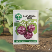 Load image into Gallery viewer, Kanta Begun Seeds for Planting β Thorny Brinjal, Indian Eggplant Variety | High Yield, Heirloom, Non-GMO | Premium Vegetable Seeds for Kitchen Garden, Pots & Farms 10gm Pack