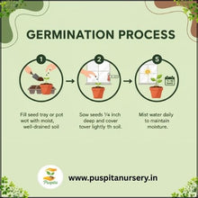 Load image into Gallery viewer, Puspita Nursery Inca Orange Marigold Seeds – Bright Orange Giant Blooms for Home Garden, Terrace & Pots | Easy to Grow, Long Blooming Variety | High Germination Quality Seeds