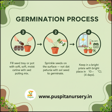 Load image into Gallery viewer, Puspita Nursery Petunia Mixed Flower Seeds – Colorful Annual Blooms for Home Garden, Pots & Terrace | Easy to Grow, Long Flowering Variety | High Germination Quality Seeds