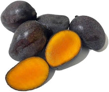 Load image into Gallery viewer, Puspita Nursery Kasturi Black Mango Plant – Rare & Fragrant Mango Variety