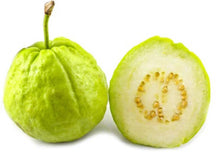 Load image into Gallery viewer, Puspita Nursery Healthy KG Guava Plant for Home Garden , Premium Quality