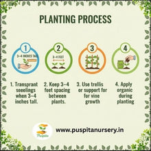 Load image into Gallery viewer, Puspita Nursery Long Ram Lou Seeds (10gm Pack) – High Yield Hybrid Bottle Gourd Seeds | Fast Germination | Tender & Long Fruits | Ideal for Home Garden and Farm Cultivation