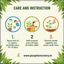 Load image into Gallery viewer, Puspita Nursery Round Priya Lou Seeds (10gm Pack) – High Yield Hybrid Round Bottle Gourd Variety | Fast Germination | Tender & Tasty Fruits | Ideal for Home Garden and Farm Cultivation