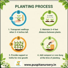 Load image into Gallery viewer, Puspita Nursery Round Priya Lou Seeds (10gm Pack) – High Yield Hybrid Round Bottle Gourd Variety | Fast Germination | Tender & Tasty Fruits | Ideal for Home Garden and Farm Cultivation