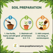 Load image into Gallery viewer, Puspita Nursery Round Priya Lou Seeds (10gm Pack) – High Yield Hybrid Round Bottle Gourd Variety | Fast Germination | Tender & Tasty Fruits | Ideal for Home Garden and Farm Cultivation