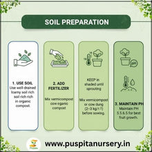 Load image into Gallery viewer, Puspita Nursery Strawberry Seeds – 2 gm | High-Yield Sweet Red Strawberry Variety | Suitable for Home Garden & Terrace Pots | Fast Germination & Easy to Grow | Organic Fruit Seeds for All Seasons