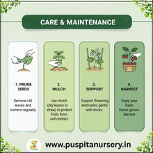 Load image into Gallery viewer, Puspita Nursery Strawberry Seeds – 2 gm | High-Yield Sweet Red Strawberry Variety | Suitable for Home Garden & Terrace Pots | Fast Germination & Easy to Grow | Organic Fruit Seeds for All Seasons