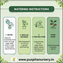 Load image into Gallery viewer, Puspita Nursery Strawberry Seeds – 2 gm | High-Yield Sweet Red Strawberry Variety | Suitable for Home Garden & Terrace Pots | Fast Germination & Easy to Grow | Organic Fruit Seeds for All Seasons