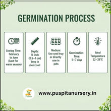 Load image into Gallery viewer, Puspita Nursery Zinnia Double Flower Seeds – Bright & Long Blooming Summer Flower | Easy to Grow Annual Plant for Pots, Terrace & Garden | Multi-Color Variety | High Germination & Heat Tolerant Seeds