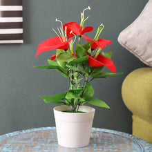 Load image into Gallery viewer, Puspita Nursery Anthurium Red , Artificial Plant , Home Decor Plant, Ornamental & Shade Trees