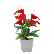 Load image into Gallery viewer, Puspita Nursery Anthurium Red , Artificial Plant , Home Decor Plant, Ornamental & Shade Trees
