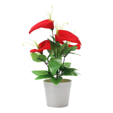 Load image into Gallery viewer, Puspita Nursery Anthurium Red , Artificial Plant , Home Decor Plant, Ornamental & Shade Trees