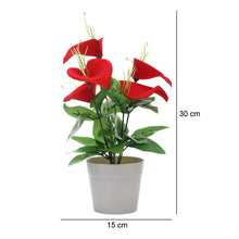 Load image into Gallery viewer, Puspita Nursery Anthurium Red , Artificial Plant , Home Decor Plant, Ornamental & Shade Trees