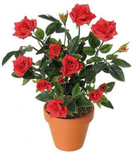 Load image into Gallery viewer, Puspita_Nursery Live Rose Plant for Indoor Outdoor Uses Ten Different Colors & Variety with Bud Ten Plants in a Pack.