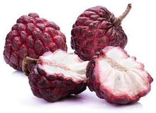 Load image into Gallery viewer, Rare Thai Sugar-Apple Sitafal fruit Plant (Annona squamosa) Rare Variety Fresh & Healthy Plant