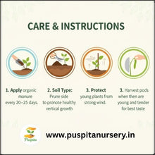 Load image into Gallery viewer, Puspita Nursery Drumstick ODC 3 Seeds (10gm Pack) – Premium Hybrid Moringa Seeds | High Yield &amp; Fast Growth Variety | Suitable for Home Garden, Organic &amp; Commercial Farming | High Nutritional Value | Easy to Grow
