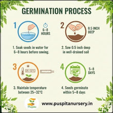 Load image into Gallery viewer, Puspita Nursery Long Ram Lou Seeds (10gm Pack) – High Yield Hybrid Bottle Gourd Seeds | Fast Germination | Tender &amp; Long Fruits | Ideal for Home Garden and Farm Cultivation
