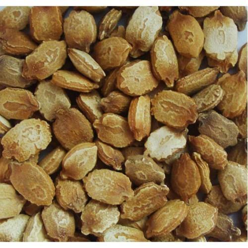 Premium Bitter Gourd Seeds 50gm Pack– High Germination Organic Vegetable Seeds