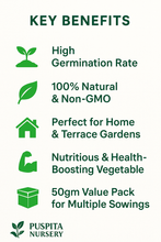 Load image into Gallery viewer, Premium Bitter Gourd Seeds 50gm Pack– High Germination Organic Vegetable Seeds
