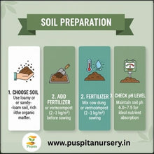 Load image into Gallery viewer, Puspita Nursery Black Kumra (Black Pumpkin) Seeds – 50 gm | High Yield, Fast Germination | Suitable for Home Garden &amp; Farm | Organic Vegetable Seeds | Disease Resistant, All Season Growing Variety
