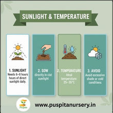 Load image into Gallery viewer, Puspita Nursery Black Kumra (Black Pumpkin) Seeds – 50 gm | High Yield, Fast Germination | Suitable for Home Garden &amp; Farm | Organic Vegetable Seeds | Disease Resistant, All Season Growing Variety
