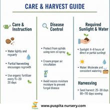 Load image into Gallery viewer, Puspita Nursery Coriander Seeds 100 gm Pack | High Germination Dhaniya Seeds | Fast Growing Leaf &amp; Seed Variety for Home &amp; Kitchen Garden
