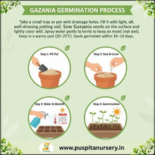 Load image into Gallery viewer, Puspita Nursery Gazania Mixed Flower Seeds – Bright Multicolor Blooms for Garden &amp; Pots | Easy to Grow | Long-Lasting Summer Flower | Premium Quality Seeds by Puspita Nursery
