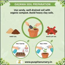 Load image into Gallery viewer, Puspita Nursery Gazania Mixed Flower Seeds – Bright Multicolor Blooms for Garden &amp; Pots | Easy to Grow | Long-Lasting Summer Flower | Premium Quality Seeds by Puspita Nursery
