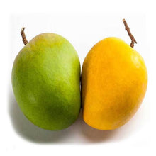 Load image into Gallery viewer, Himsagar Mango Plant Sweetest Mango Fruit King of Mango
