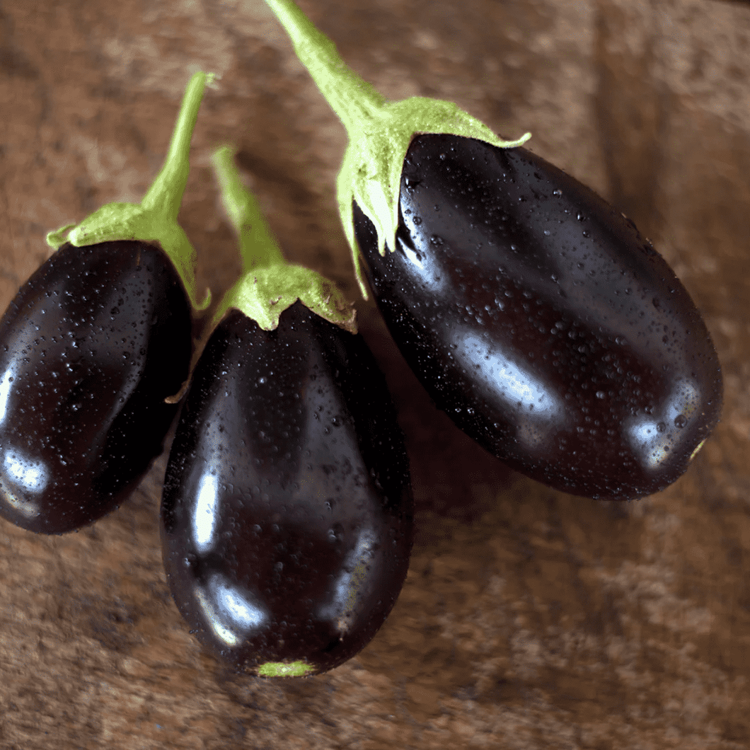 Premium Muktakeshi Brinjal Seeds 10gm Pack– High Yield, Non-GMO, Organic Vegetable Seeds