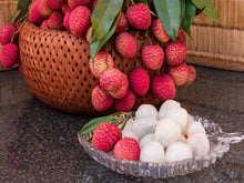 Load image into Gallery viewer, &quot;Puspita Nursery Premium Bombai Litchi Plant – Sweet, Juicy Harvests and Fast Growth for Exceptional Yields! Pack Of 1&quot;
