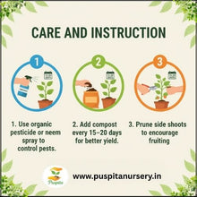 Load image into Gallery viewer, Puspita Nursery Long Ram Lou Seeds (10gm Pack) – High Yield Hybrid Bottle Gourd Seeds | Fast Germination | Tender &amp; Long Fruits | Ideal for Home Garden and Farm Cultivation
