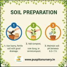 Load image into Gallery viewer, Puspita Nursery Long Ram Lou Seeds (10gm Pack) – High Yield Hybrid Bottle Gourd Seeds | Fast Germination | Tender &amp; Long Fruits | Ideal for Home Garden and Farm Cultivation
